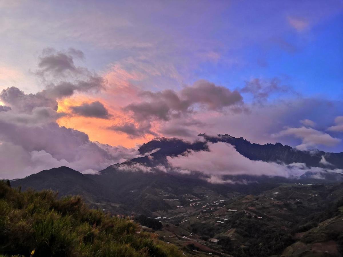 Nulu View *